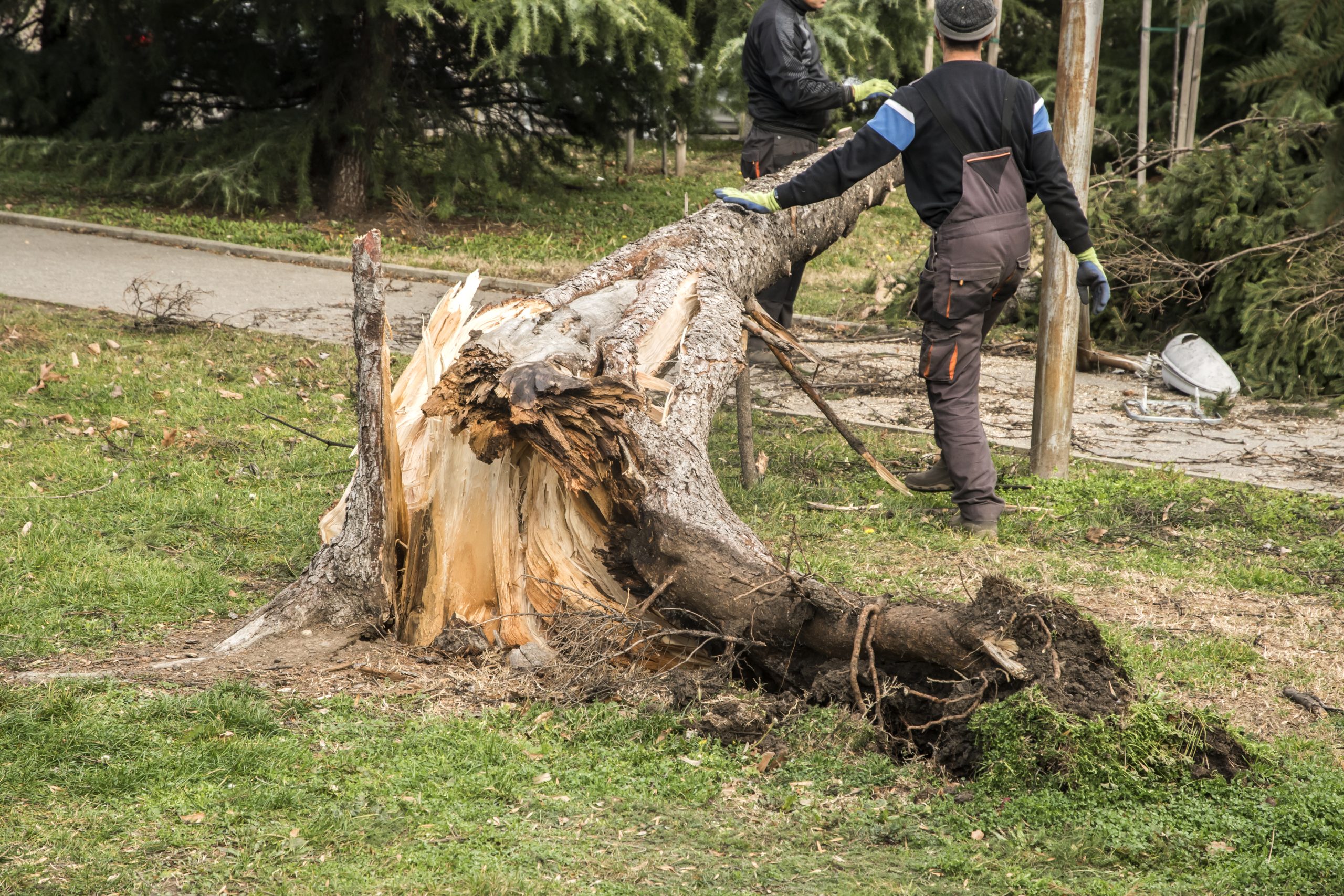 storm damage cleanup in Huntington
